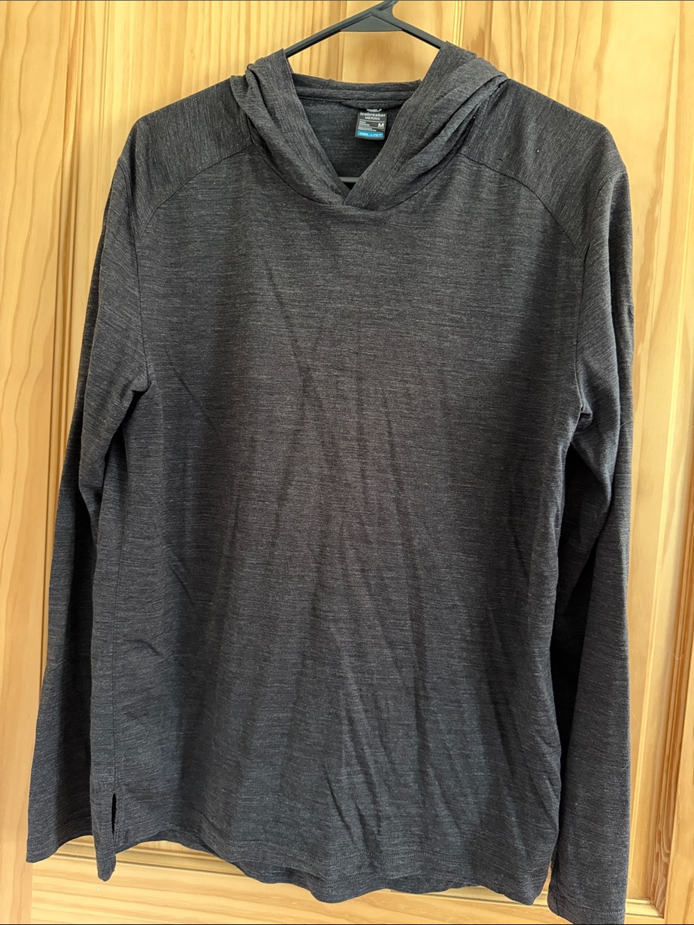 Icebreaker Men's Dark Charcoal Crewneck Hoodie Sweater
